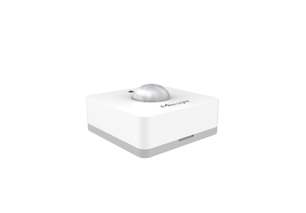 Milesight WS202 PIR & Light Sensor